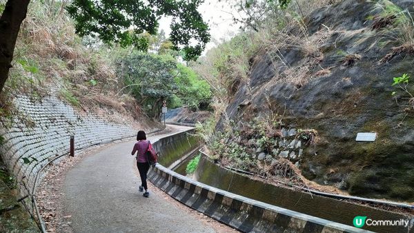 【荃灣油柑頭至大欖轉車站行山篇】石龍拱、蓮花山廢校、蓮花山、鱷魚朝天、河背水塘