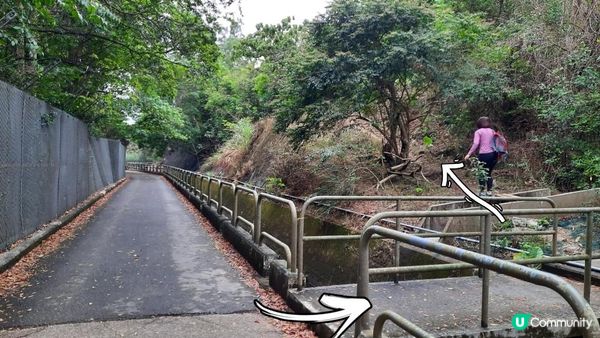 【荃灣油柑頭至大欖轉車站行山篇】石龍拱、蓮花山廢校、蓮花山、鱷魚朝天、河背水塘