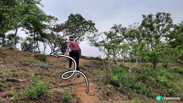 【荃灣油柑頭至大欖轉車站行山篇】石龍拱、蓮花山廢校、蓮花山、鱷魚朝天、河背水塘