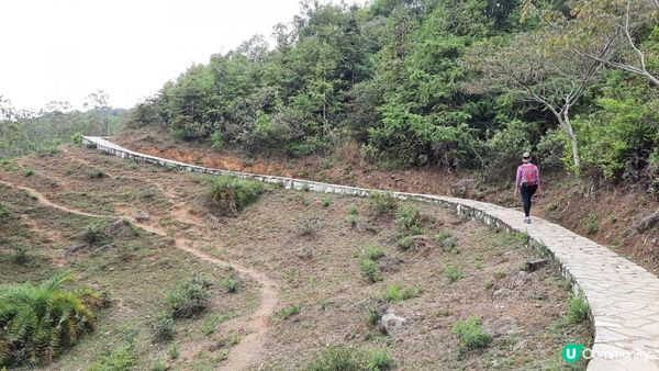 【荃灣油柑頭至大欖轉車站行山篇】石龍拱、蓮花山廢校、蓮花山、鱷魚朝天、河背水塘