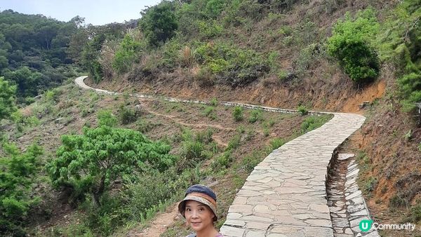 【荃灣油柑頭至大欖轉車站行山篇】石龍拱、蓮花山廢校、蓮花山、鱷魚朝天、河背水塘