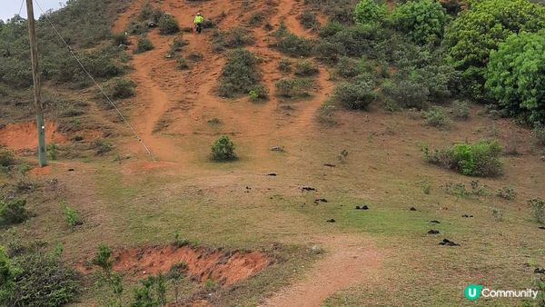 【荃灣油柑頭至大欖轉車站行山篇】石龍拱、蓮花山廢校、蓮花山、鱷魚朝天、河背水塘