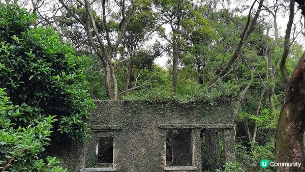 【荃灣油柑頭至大欖轉車站行山篇】石龍拱、蓮花山廢校、蓮花山、鱷魚朝天、河背水塘