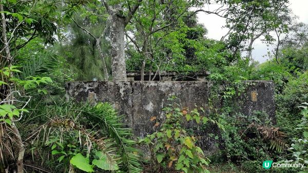 【荃灣油柑頭至大欖轉車站行山篇】石龍拱、蓮花山廢校、蓮花山、鱷魚朝天、河背水塘