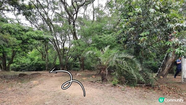 【荃灣油柑頭至大欖轉車站行山篇】石龍拱、蓮花山廢校、蓮花山、鱷魚朝天、河背水塘