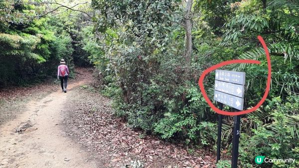 【荃灣油柑頭至大欖轉車站行山篇】石龍拱、蓮花山廢校、蓮花山、鱷魚朝天、河背水塘