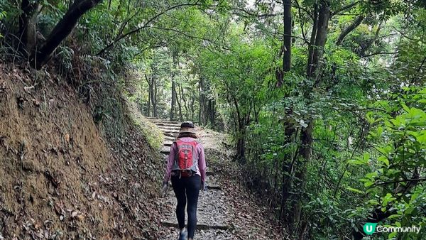 【荃灣油柑頭至大欖轉車站行山篇】石龍拱、蓮花山廢校、蓮花山、鱷魚朝天、河背水塘