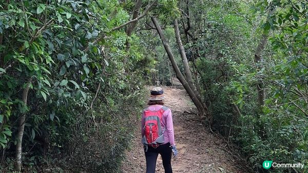 【荃灣油柑頭至大欖轉車站行山篇】石龍拱、蓮花山廢校、蓮花山、鱷魚朝天、河背水塘