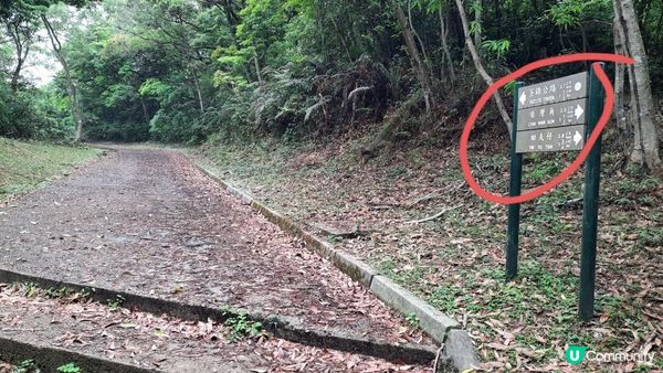 【荃灣油柑頭至大欖轉車站行山篇】石龍拱、蓮花山廢校、蓮花山、鱷魚朝天、河背水塘