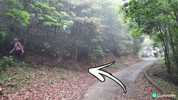 【荃灣油柑頭至大欖轉車站行山篇】石龍拱、蓮花山廢校、蓮花山、鱷魚朝天、河背水塘
