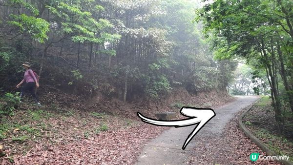 【荃灣油柑頭至大欖轉車站行山篇】石龍拱、蓮花山廢校、蓮花山、鱷魚朝天、河背水塘