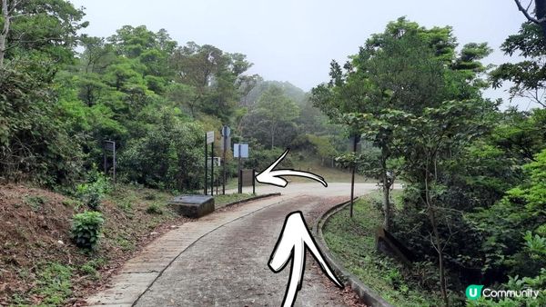 【荃灣油柑頭至大欖轉車站行山篇】石龍拱、蓮花山廢校、蓮花山、鱷魚朝天、河背水塘
