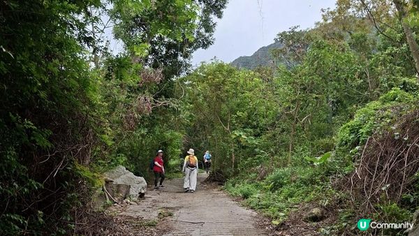 【大澳行山篇⛰️】尖峰山、牙鷹山、大澳觀景台
