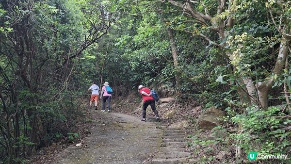 【大澳行山篇⛰️】尖峰山、牙鷹山、大澳觀景台