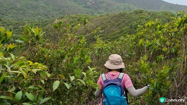 【大澳行山篇⛰️】尖峰山、牙鷹山、大澳觀景台