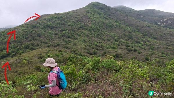 【大澳行山篇⛰️】尖峰山、牙鷹山、大澳觀景台