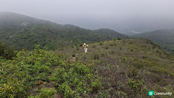 【大澳行山篇⛰️】尖峰山、牙鷹山、大澳觀景台