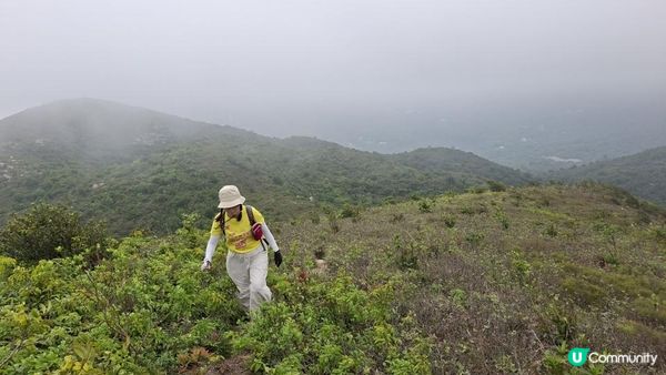 【大澳行山篇⛰️】尖峰山、牙鷹山、大澳觀景台