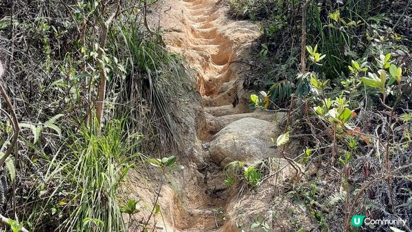 【大水坑至馬鞍山村行山篇】青蛙石、吊手岩、牛押山、馬鞍山、彎曲山