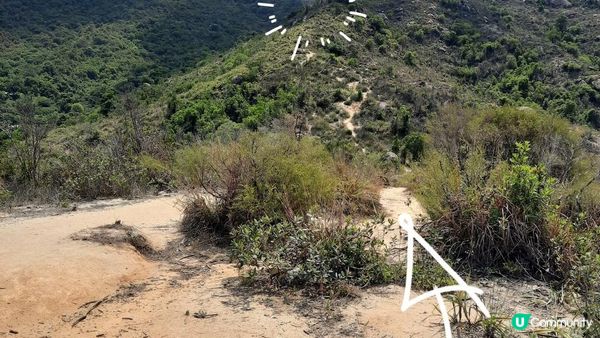 【大水坑至馬鞍山村行山篇】青蛙石、吊手岩、牛押山、馬鞍山、彎曲山