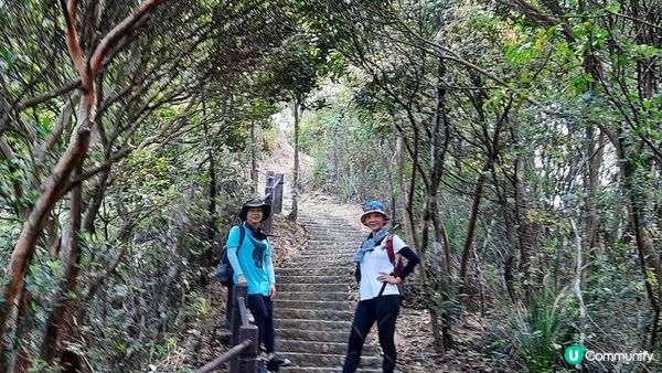 【大水坑至馬鞍山村行山篇】青蛙石、吊手岩、牛押山、馬鞍山、彎曲山