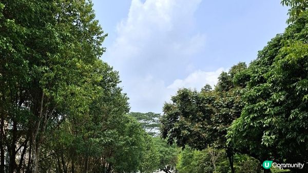 【中山迷你版九寨溝😂😍】岐澳古道•古寨溝
