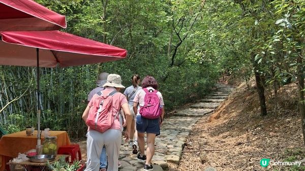 【中山迷你版九寨溝😂😍】岐澳古道•古寨溝