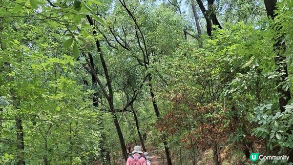 【中山迷你版九寨溝😂😍】岐澳古道•古寨溝