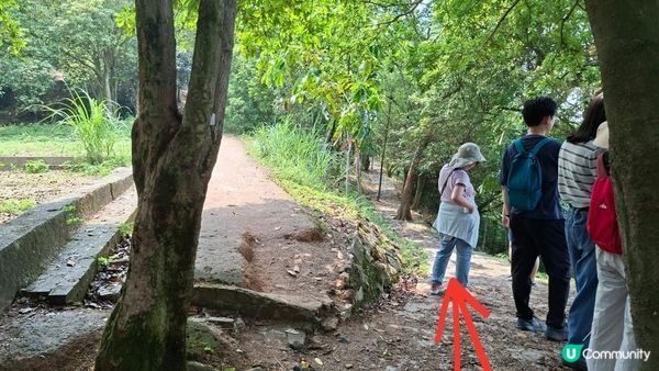 【中山迷你版九寨溝😂😍】岐澳古道•古寨溝