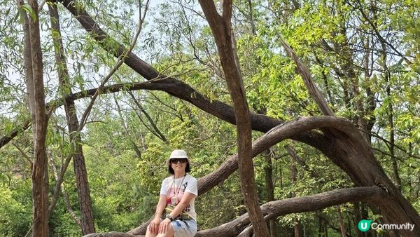 【中山迷你版九寨溝😂😍】岐澳古道•古寨溝