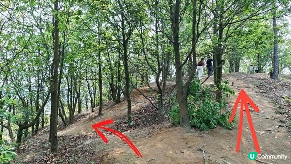 【中山迷你版九寨溝😂😍】岐澳古道•古寨溝