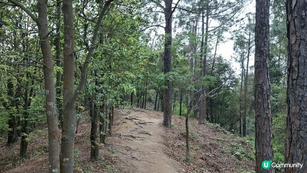 【中山迷你版九寨溝😂😍】岐澳古道•古寨溝
