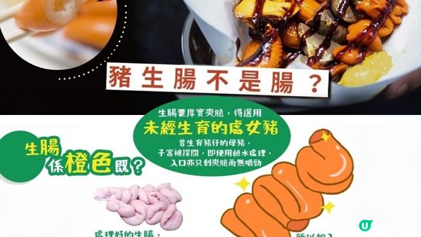 #多D芥辣甜醬 🐷 食豬生腸其實係食緊輸卵管＋子宮