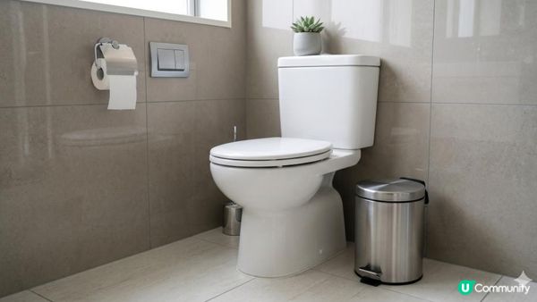 得啖笑 (9) - 丟廁紙的哲學