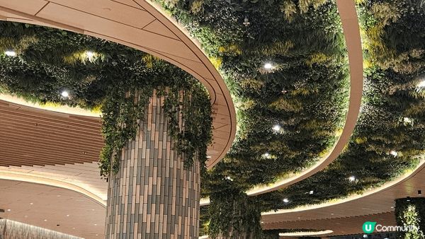 大家唔知有冇留意到喺airside 雙子塔 sogo樓上好多...