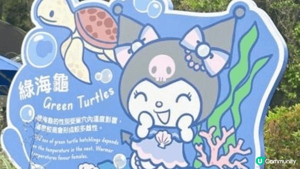 還記得孩子第一次去海洋公園時那雙閃閃發亮的眼睛和興奮的表情。...
