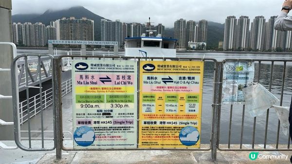 【荔枝窩至烏蛟騰行山篇🚶‍♀️⛰️】攀背頂、老虎石頂、媽騰古道