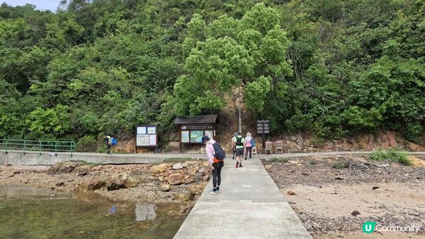 【荔枝窩至烏蛟騰行山篇🚶‍♀️⛰️】攀背頂、老虎石頂、媽騰古道