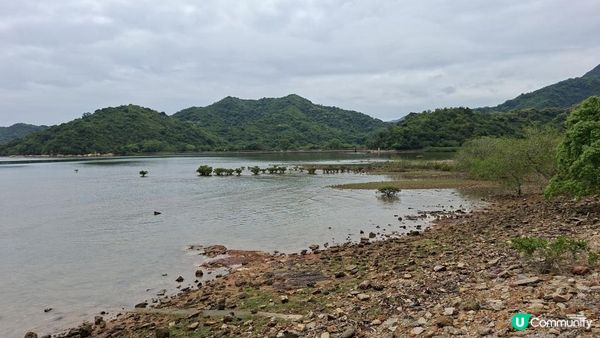 【荔枝窩至烏蛟騰行山篇🚶‍♀️⛰️】攀背頂、老虎石頂、媽騰古道
