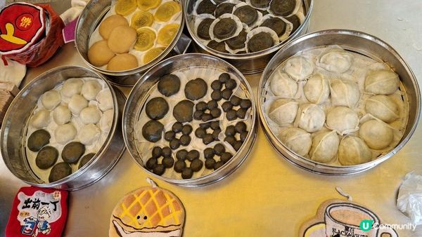 【荔枝窩至烏蛟騰行山篇🚶‍♀️⛰️】攀背頂、老虎石頂、媽騰古道