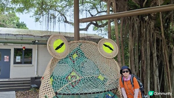 【荔枝窩至烏蛟騰行山篇🚶‍♀️⛰️】攀背頂、老虎石頂、媽騰古道