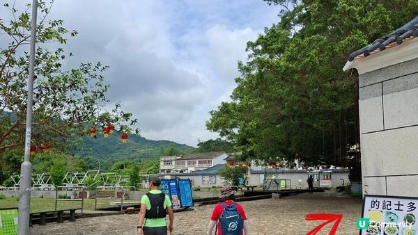 【荔枝窩至烏蛟騰行山篇🚶‍♀️⛰️】攀背頂、老虎石頂、媽騰古道