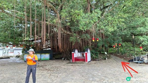 【荔枝窩至烏蛟騰行山篇🚶‍♀️⛰️】攀背頂、老虎石頂、媽騰古道