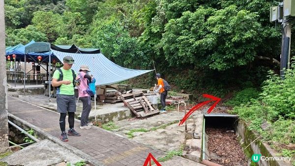 【荔枝窩至烏蛟騰行山篇🚶‍♀️⛰️】攀背頂、老虎石頂、媽騰古道