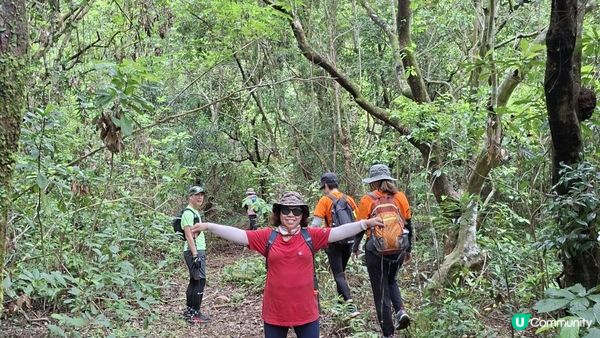 【荔枝窩至烏蛟騰行山篇🚶‍♀️⛰️】攀背頂、老虎石頂、媽騰古道