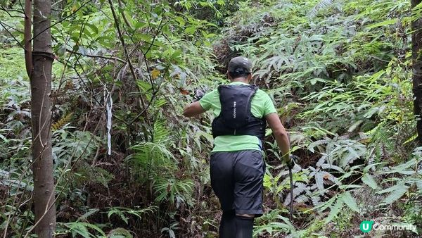 【荔枝窩至烏蛟騰行山篇🚶‍♀️⛰️】攀背頂、老虎石頂、媽騰古道