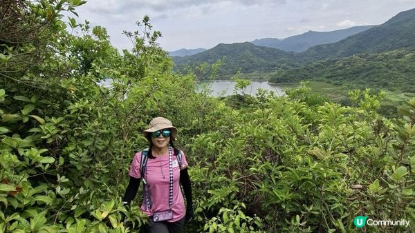 【荔枝窩至烏蛟騰行山篇🚶‍♀️⛰️】攀背頂、老虎石頂、媽騰古道