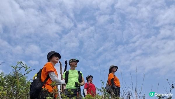 【荔枝窩至烏蛟騰行山篇🚶‍♀️⛰️】攀背頂、老虎石頂、媽騰古道