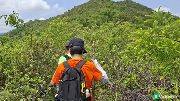 【荔枝窩至烏蛟騰行山篇🚶‍♀️⛰️】攀背頂、老虎石頂、媽騰古道