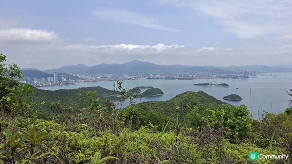 【荔枝窩至烏蛟騰行山篇🚶‍♀️⛰️】攀背頂、老虎石頂、媽騰古道